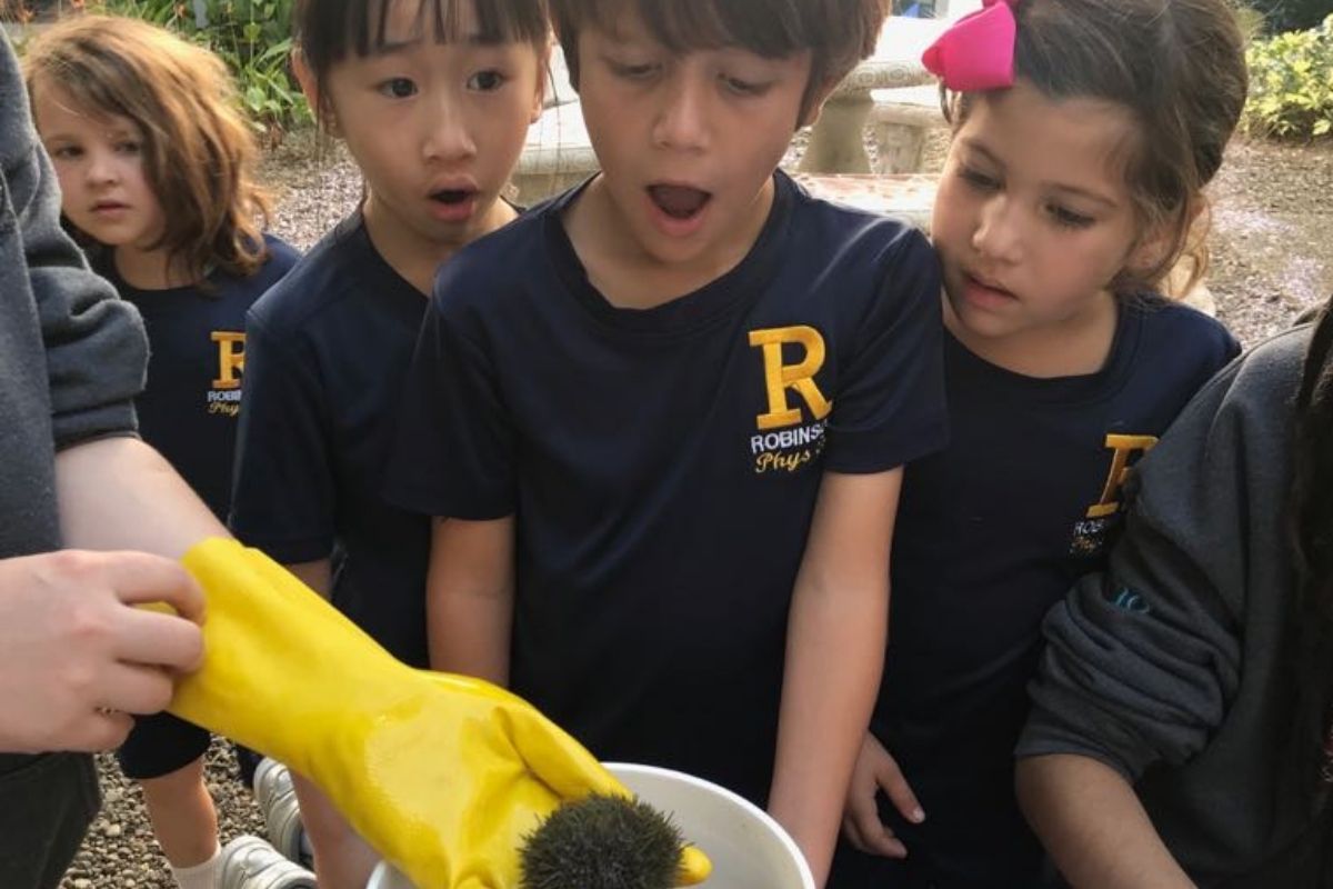 Four Elementary school students gape at the sea urchin being presented to them by a yellow gloved hand.