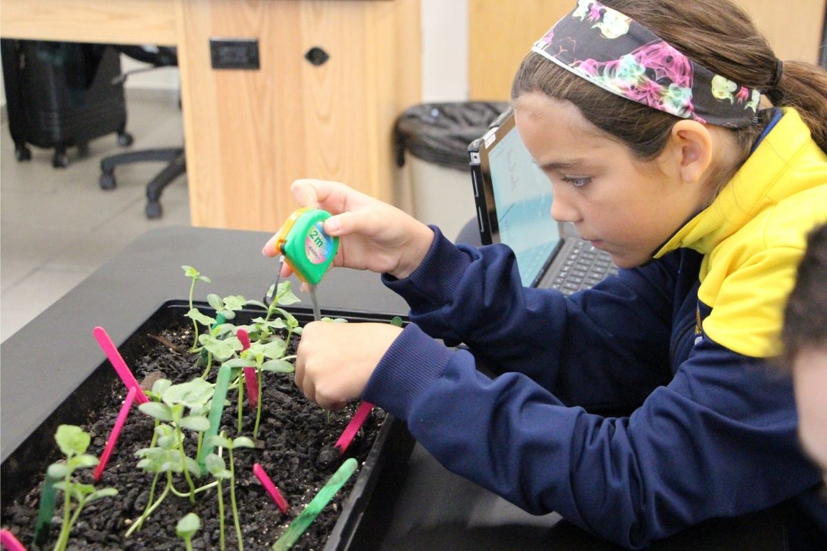 A brown haired female Elementary student wearing a headband and a yellow and blue jacket uses a magnifying glass to analyze a plant in her science class.