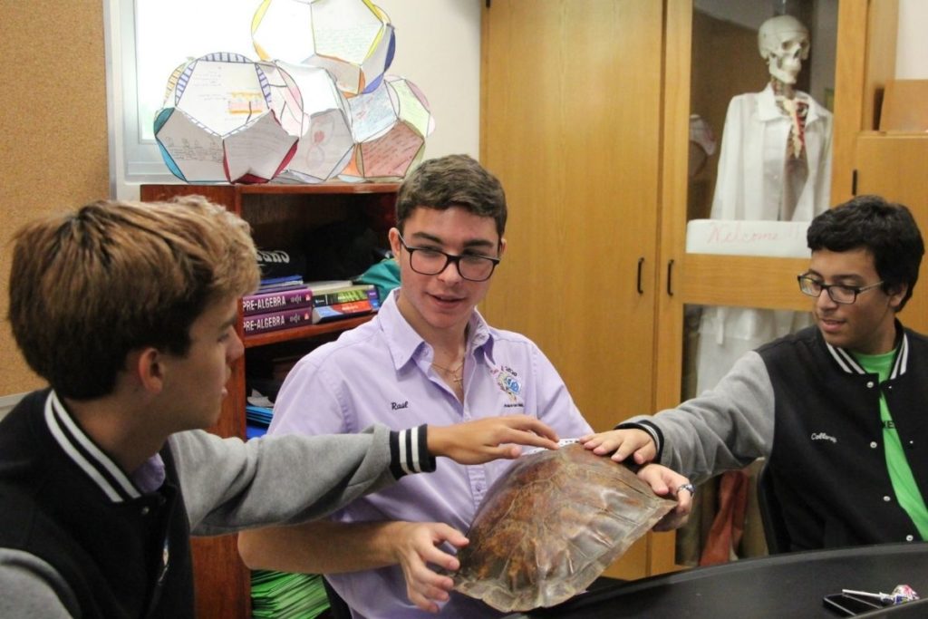 Three male Robinson School upper students sit together and touch/analyze a turtle shell.