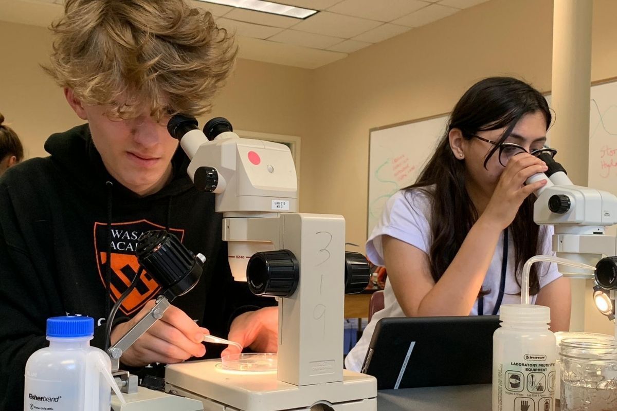 Two upper school students both use their individual microscopes to conduct a science experiment.